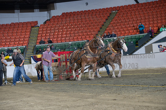 NABC8_10142016_SCL_9418