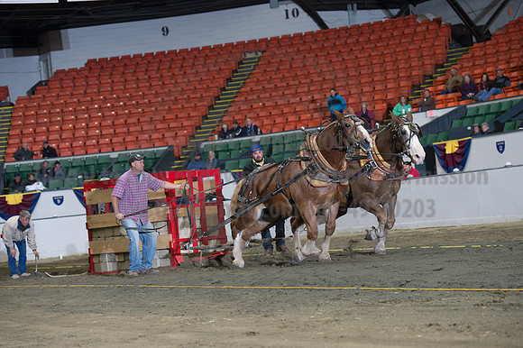 NABC8_10142016_SCL_9423