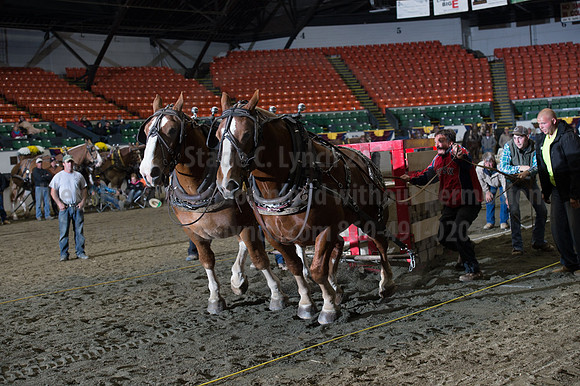 NABC8_10142016_SCL_9869