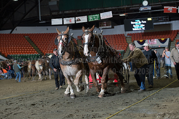 NABC8_10142016_SCL_9648