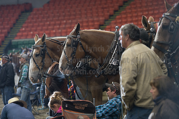 NABC8_10142016_SCL_9883