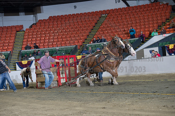 NABC8_10142016_SCL_9420