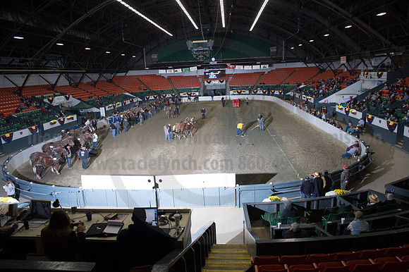 NABC8_10142016_SCL_9342