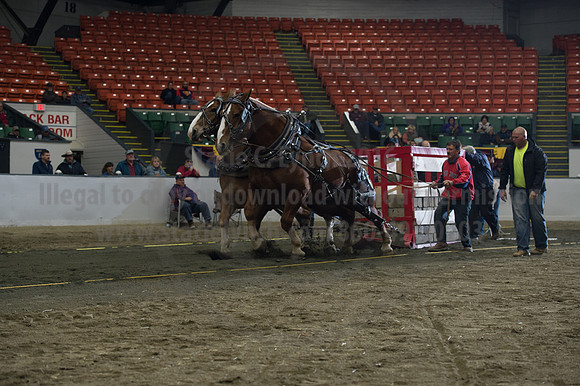 NABC8_10142016_SCL_9372