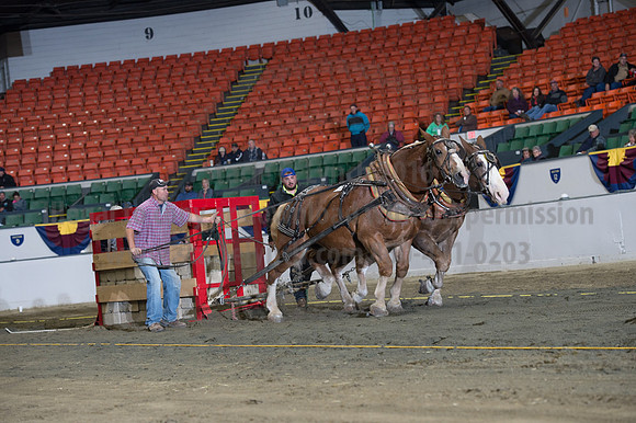 NABC8_10142016_SCL_9425