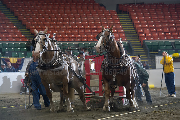 NABC8_10142016_SCL_9682