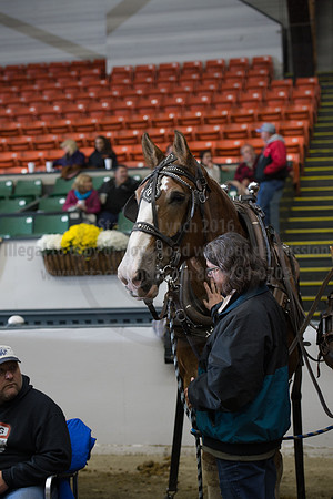 NABC8_10142016_SCL_9723
