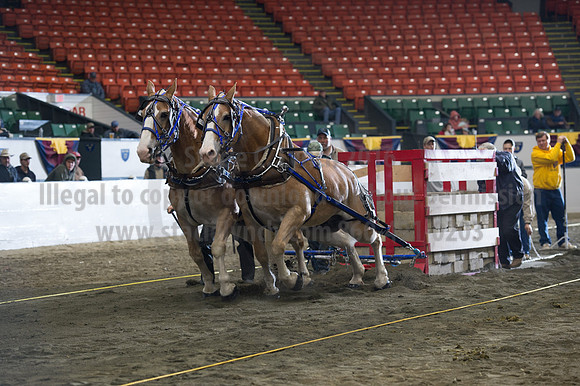NABC8_10142016_SCL_9701