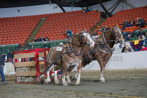 NABC8_10142016_SCL_9514