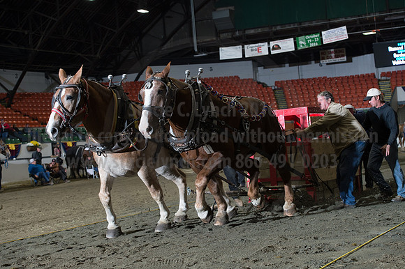 NABC8_10142016_SCL_9652