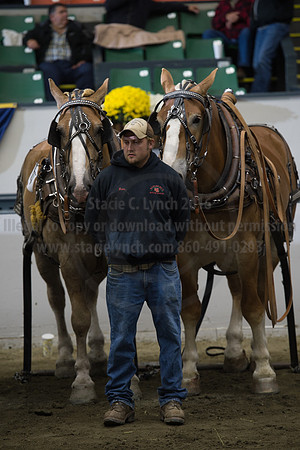 NABC8_10142016_SCL_9674
