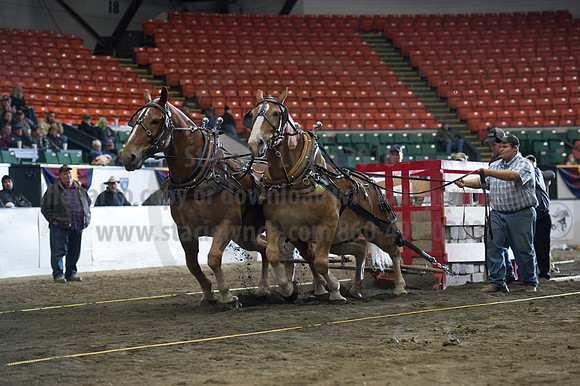 NABC8_10142016_SCL_9713