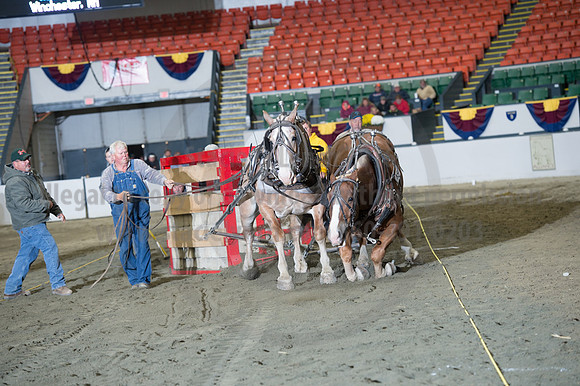 NABC8_10142016_SCL_9953
