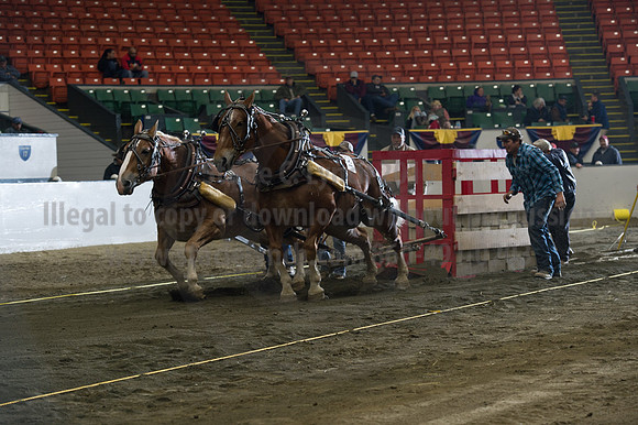 NABC8_10142016_SCL_9468