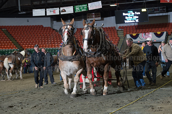NABC8_10142016_SCL_9646