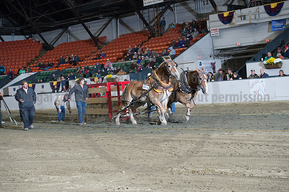 NABC8_10142016_SCL_9454