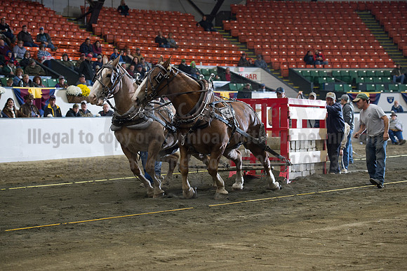 NABC8_10142016_SCL_9484