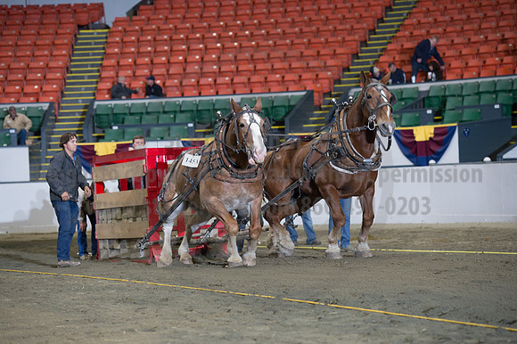 NABC8_10142016_SCL_9506