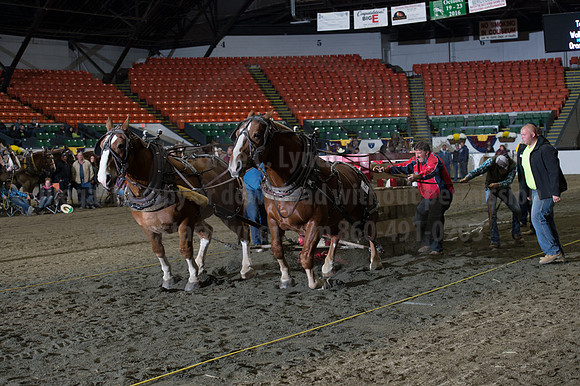 NABC8_10142016_SCL_9863