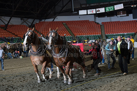 NABC8_10142016_SCL_9868