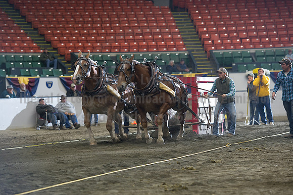 NABC8_10142016_SCL_9664