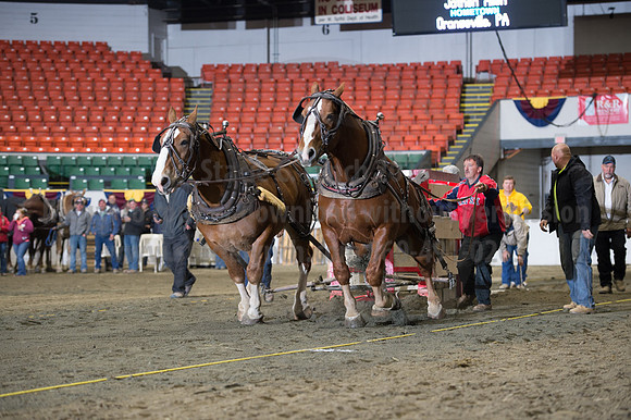 NABC8_10142016_SCL_9595