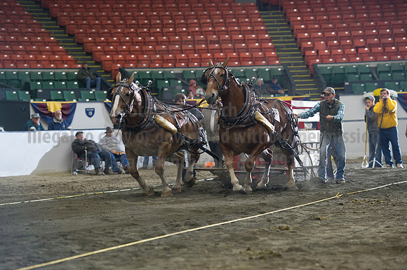 NABC8_10142016_SCL_9665