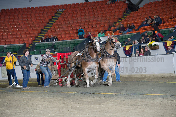 NABC8_10142016_SCL_9543