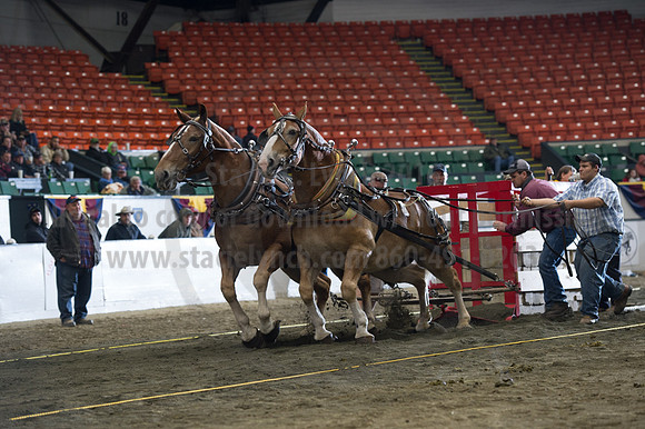 NABC8_10142016_SCL_9711