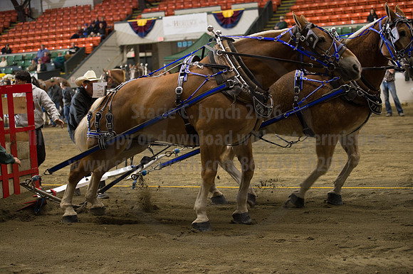 NABC8_10142016_SCL_9578