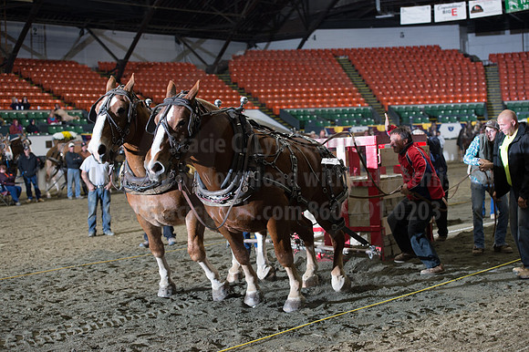 NABC8_10142016_SCL_9871