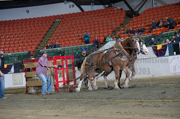 NABC8_10142016_SCL_9427