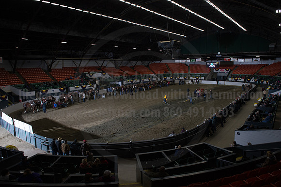 NABC8_10142016_SCL_9337