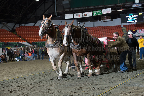 NABC8_10142016_SCL_9650