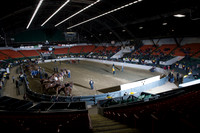 NABC8_10142016_SCL_9345