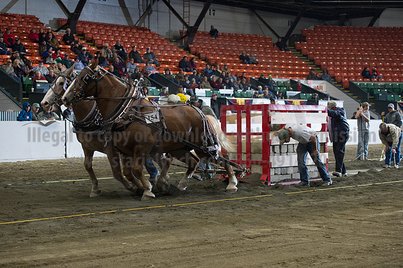 NABC8_10142016_SCL_9489