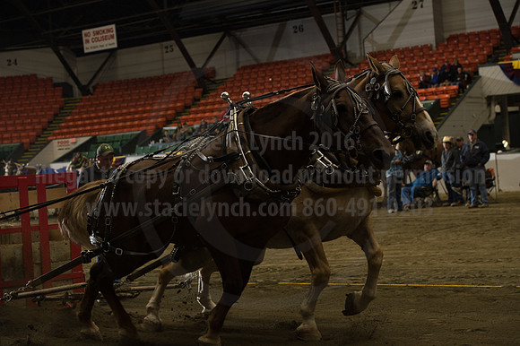 NABC8_10142016_SCL_9573