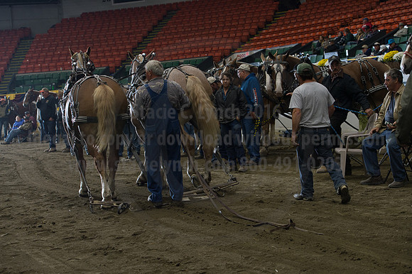 NABC8_10142016_SCL_9494