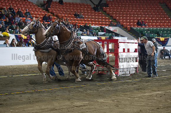 NABC8_10142016_SCL_9486