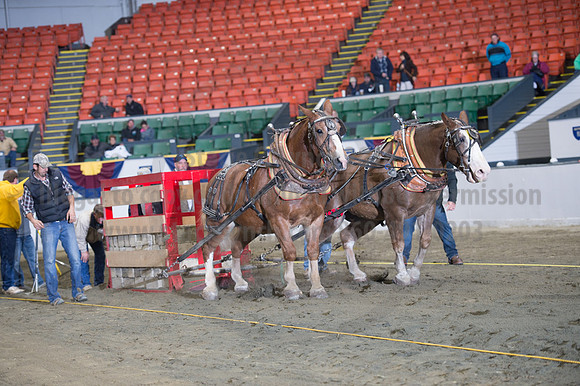 NABC8_10142016_SCL_9413