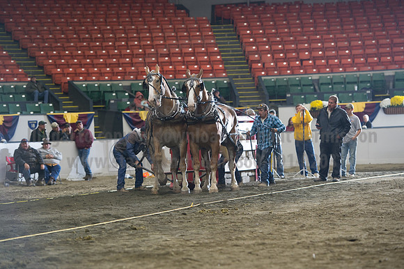 NABC8_10142016_SCL_9653