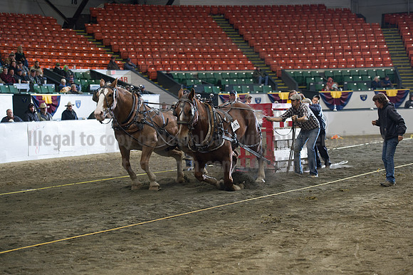 NABC8_10142016_SCL_9709