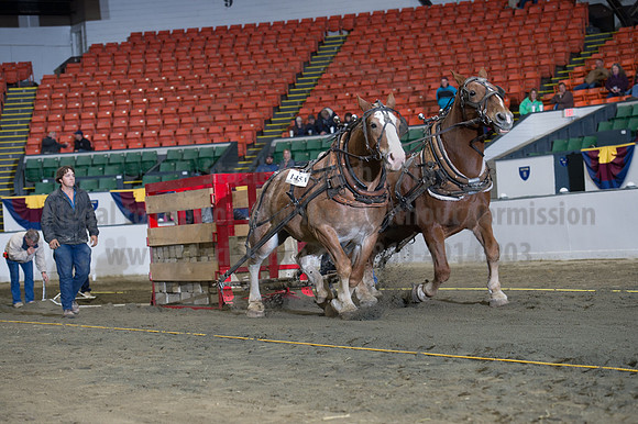 NABC8_10142016_SCL_9512