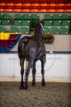 BigE_09252025_SCL0300
