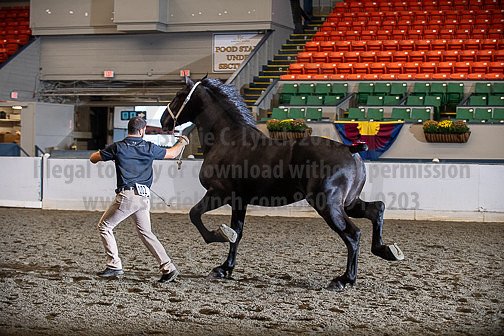 BigE_09252025_SCL0338