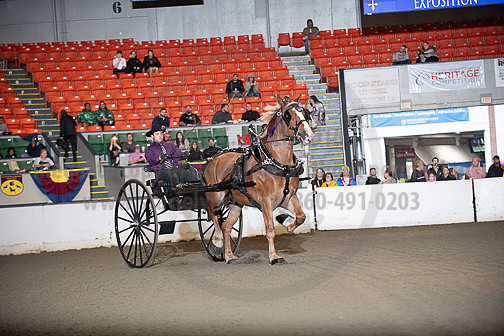 BigE_09252025_SCL0467
