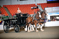 BigE_09252025_SCL0704