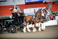 BigE_09252025_SCL0705
