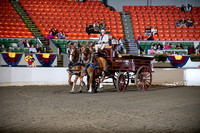 BigE_09252025_SCL0731