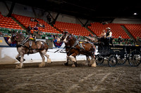 BigE_09252025_SCL1301